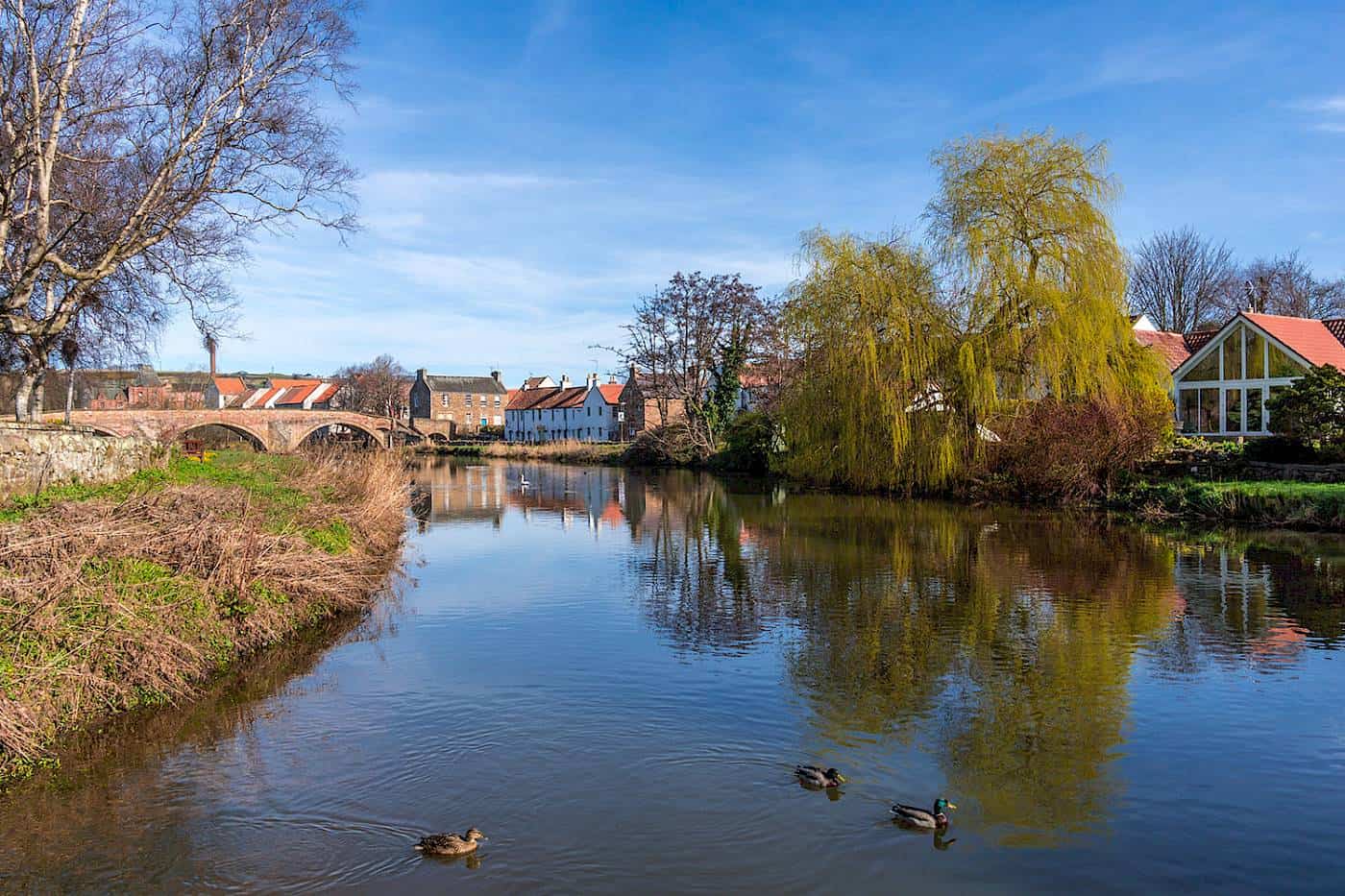 Robertson Homes moves into Haddington Robertson Homes