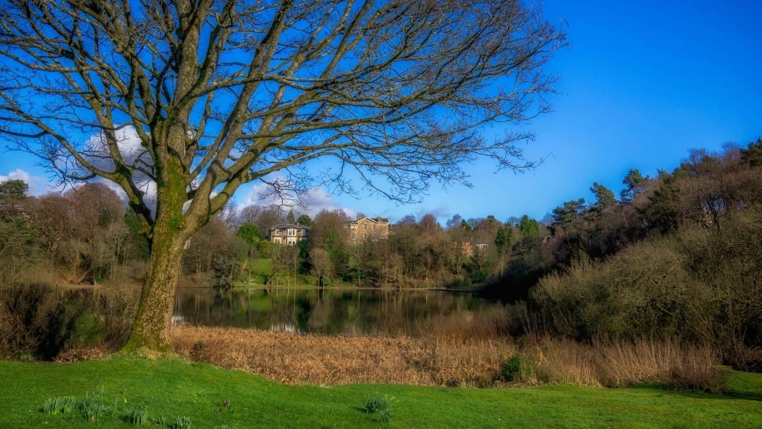 New homes for sale at Thorn View Robertson Homes