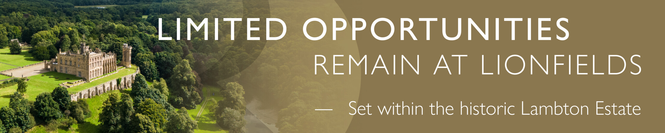 October Offer Campaign_Web Banner_Lionfields